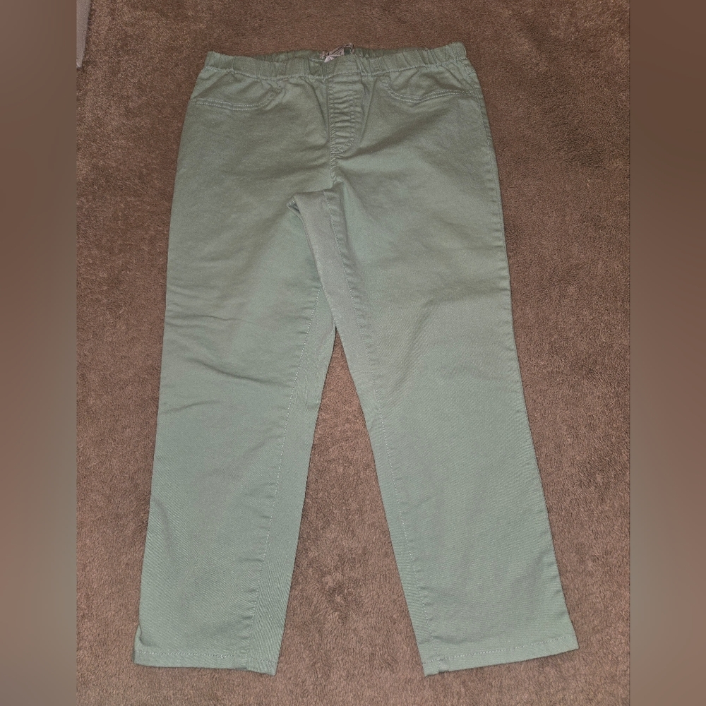🌟AMERICAN RAG GREEN CROPPED PANTS SIZE 0X